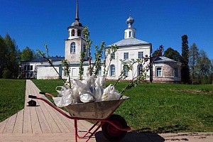 В Веркольском монастыре Архангельской епархии разбили яблоневый сад