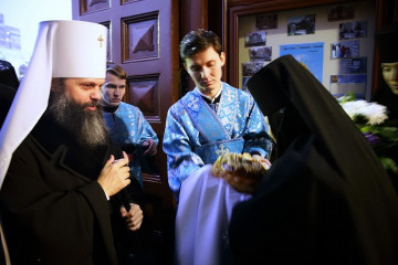 Встреча Владыки