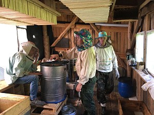 На подворье Новоспасского монастыря в с. Сумарокове качают мед