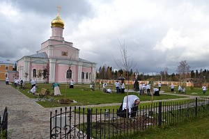 В Зосимовой пустыни прошла экологическая акция «Я посадил дерево»