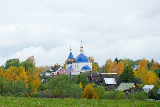 Богородице-Рождественское подворье Свято-Успенского Космина мужского монастыря в селе Федосьино